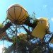 La Machine, Alternative Energy, Aeroflorale II, Bauhaus Color Festival, green design, eco-design, sustainable design, flying objects, propellers, alternative energy, hanging garden, Germany, botanical expedition, flora, Vladimir Tatlin
