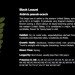 Leafsnap App, leafsnap, smithsonian institute, nyc trees, new york city trees, fall foliage, columbia university, university of maryland, leaf id app