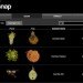 Leafsnap App, leafsnap, smithsonian institute, nyc trees, new york city trees, fall foliage, columbia university, university of maryland, leaf id app