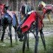 Miina Äkkijyrkkä, finnish sculpter, cow sculptures, car sculptures, used car cows, dairy farming, art,recyled art,