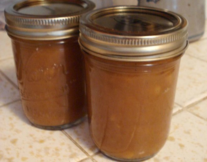 DIY, pumpkin, organic recipes, pumpkin shake, pumpkin butter, pumpkin pudding, pumpkin soup, pumpkin pasta sauce, roasted pumpkin seeds