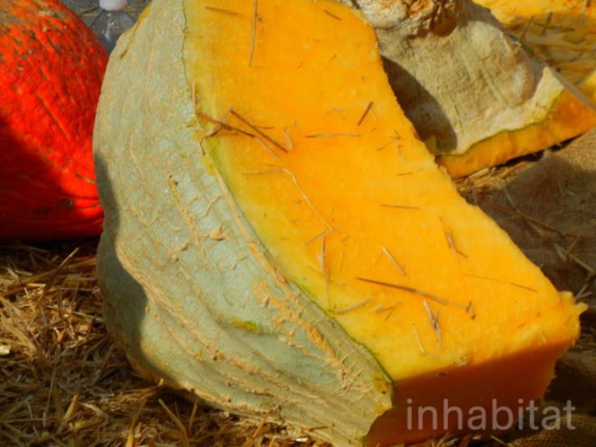biggest pumpkin, botanical gardens, bronx, fall, fall events, fall events nyc, jim bryson, Jim Bryson biggest pumpkin in the world, New York botanical gardens, news, ny botanical gardens, nyc, nyc events, pumpkin, pumpkin carving, pumpkin events, world’s largest pumpkin, ray villafane