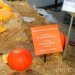 biggest pumpkin, botanical gardens, bronx, fall, fall events, fall events nyc, jim bryson, Jim Bryson biggest pumpkin in the world, New York botanical gardens, news, ny botanical gardens, nyc, nyc events, pumpkin, pumpkin carving, pumpkin events, world’s largest pumpkin, ray villafane