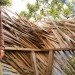 trees, tree house, roderick romero, green building, green sustainable building, reclaimed wood, recycled wood, tree-less tree house, jeff caseper, romero studios, bel air, green design, eco design, sustainable design,