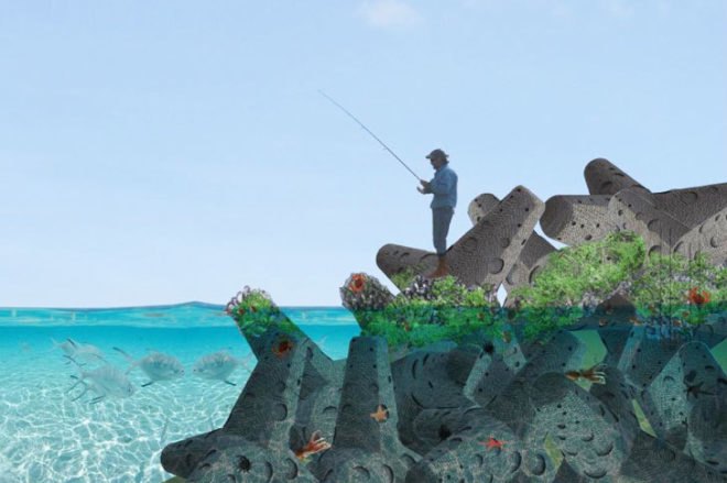 searc, econcrete, marine infrastructure, shoreline degradation, environmentally active infrastructure, shimrit perkol-finkel, studio urbanof, ido sella, ecological armor units