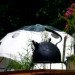 The Dome Garden, geodesic domes, eco-tourism, eco-travel, wood burner, locally sourced materials, recycled glass, London, England, glamping, camping, green design, sustainable design, eco-design, solar panels, dome tents, insulation, rainwater harvesting