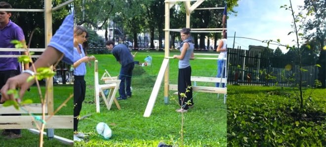 eco-art, eco-architecture, Visiondivision, The Patient Gardener, Sweden, Politechnico di Milano, green design, sustainable design, slow architecture, reduced construction waste, living furniture, reduce transportation, architectonic, cherry blossom trees, Japanese trees, Italy, hourglass tree structure