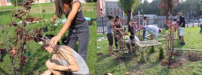 eco-art, eco-architecture, Visiondivision, The Patient Gardener, Sweden, Politechnico di Milano, green design, sustainable design, slow architecture, reduced construction waste, living furniture, reduce transportation, architectonic, cherry blossom trees, Japanese trees, Italy, hourglass tree structure