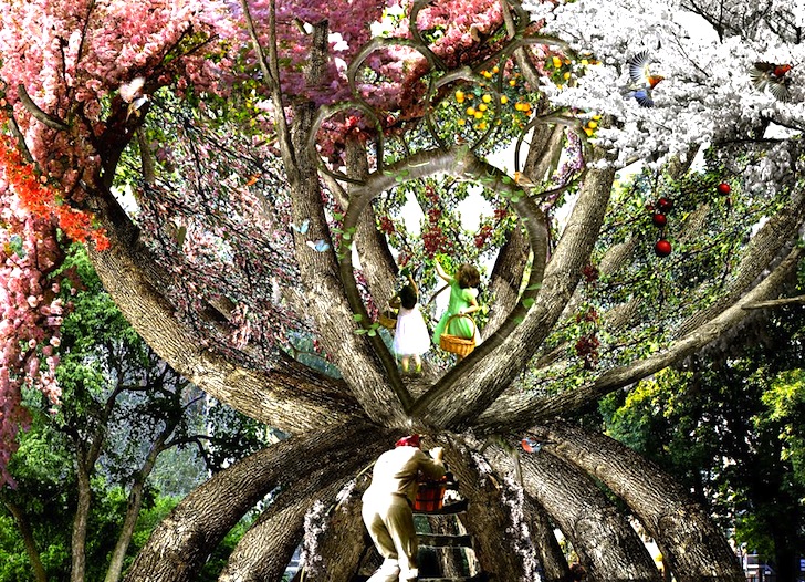 eco-art, eco-architecture, Visiondivision, The Patient Gardener, Sweden, Politechnico di Milano, green design, sustainable design, slow architecture, reduced construction waste, living furniture, reduce transportation, architectonic, cherry blossom trees, Japanese trees, Italy, hourglass tree structure