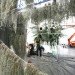 green design, eco design, sustainable design, Berlin, Hamburger Bahnof, Cloud Cities, Tomas Saraceno, geodesic dome, Utopian bubbles, biospheres