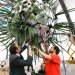 green design, eco design, sustainable design, Berlin, Hamburger Bahnof, Cloud Cities, Tomas Saraceno, geodesic dome, Utopian bubbles, biospheres