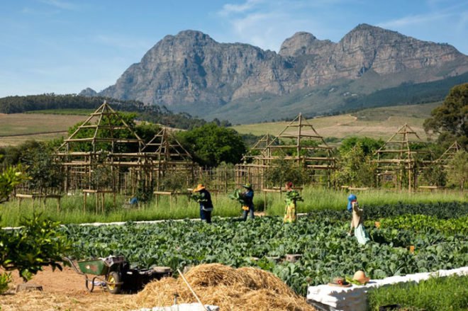 green design, eco design, sustainable design, Babylonstoren, South Africa, Eco Getaway, Eco resort, Dutch settlement, Cape Winelands, working farm retreat