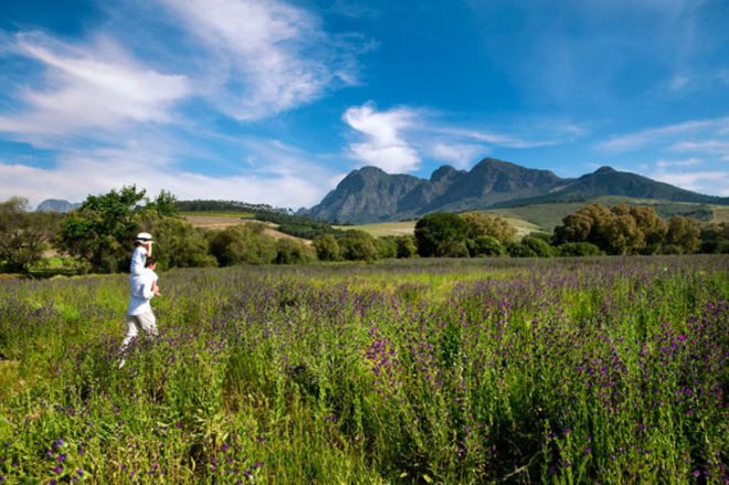 green design, eco design, sustainable design, Babylonstoren, South Africa, Eco Getaway, Eco resort, Dutch settlement, Cape Winelands, working farm retreat