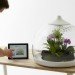 Biome Terrarium, Samuel Wilkinson, ipad controlled, smartphone controlled, terrarium, interactive object