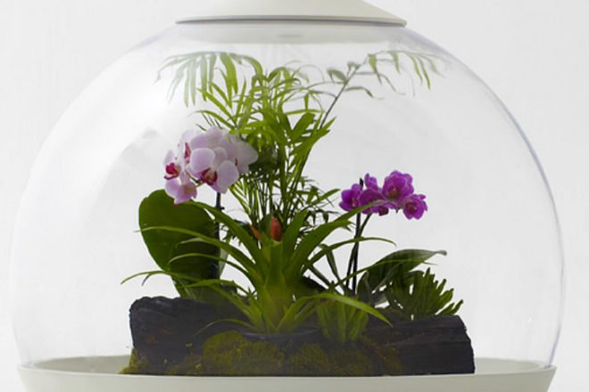 Biome Terrarium, Samuel Wilkinson, ipad controlled, smartphone controlled, terrarium, interactive object