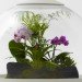 Biome Terrarium, Samuel Wilkinson, ipad controlled, smartphone controlled, terrarium, interactive object