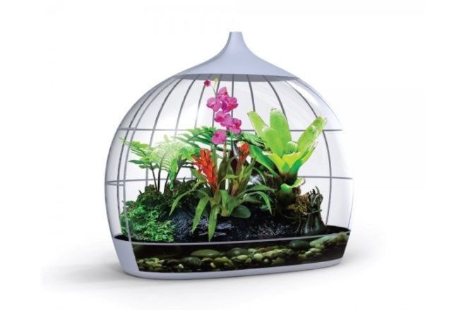 Biome Terrarium, Samuel Wilkinson, ipad controlled, smartphone controlled, terrarium, interactive object