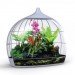 Biome Terrarium, Samuel Wilkinson, ipad controlled, smartphone controlled, terrarium, interactive object