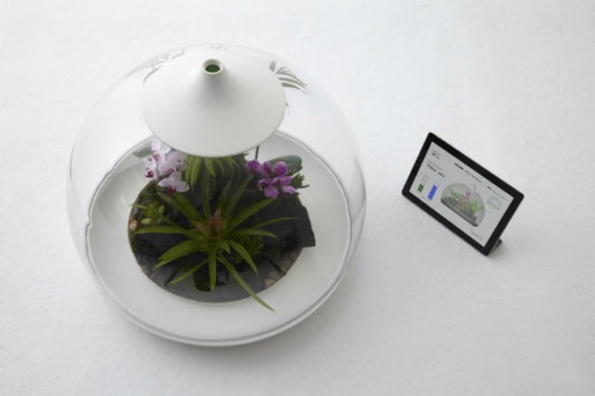 Biome Terrarium, Samuel Wilkinson, ipad controlled, smartphone controlled, terrarium, interactive object