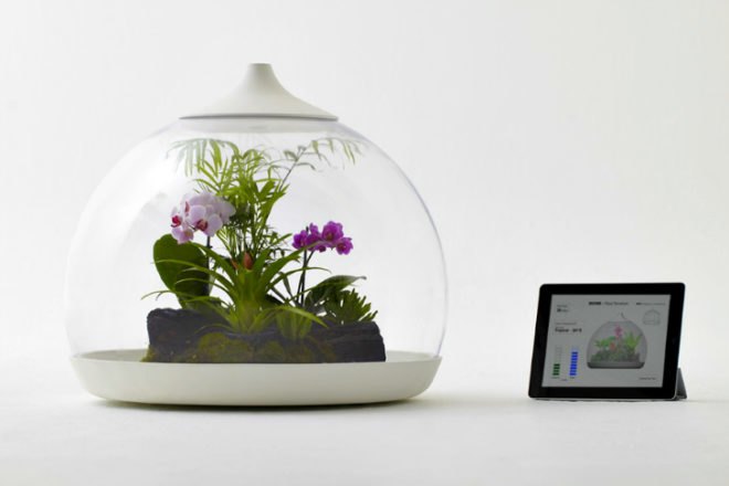 Biome Terrarium, Samuel Wilkinson, ipad controlled, smartphone controlled, terrarium, interactive object