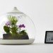 Biome Terrarium, Samuel Wilkinson, ipad controlled, smartphone controlled, terrarium, interactive object