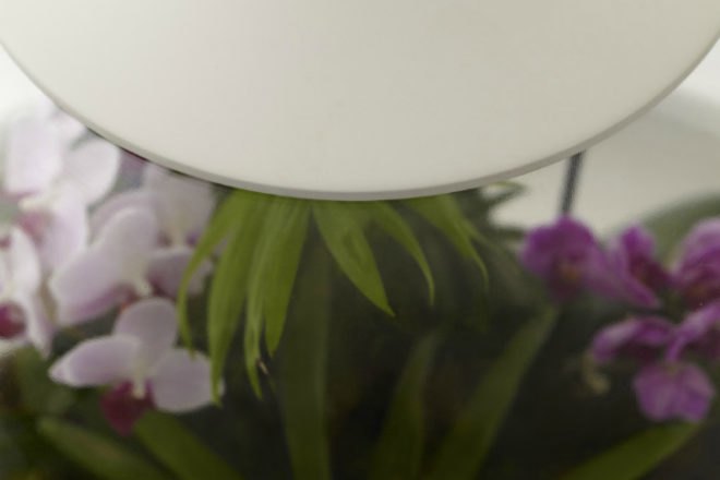 Biome Terrarium, Samuel Wilkinson, ipad controlled, smartphone controlled, terrarium, interactive object