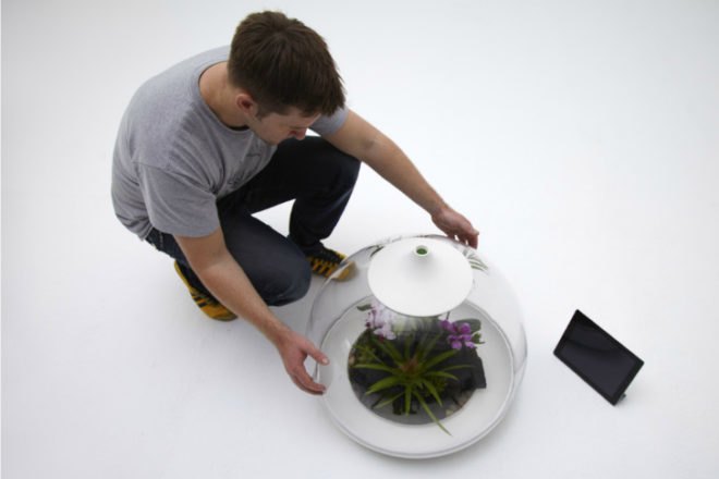Biome Terrarium, Samuel Wilkinson, ipad controlled, smartphone controlled, terrarium, interactive object