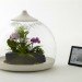 Biome Terrarium, Samuel Wilkinson, ipad controlled, smartphone controlled, terrarium, interactive object