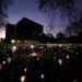 eco art, bath museum, bruce munro, field of light, forest of light, leds, light emitting diodes, energy efficient lighting, green art, sustainable design, green design, light garden, green sculpture, green art installation, fiber optic fields of light