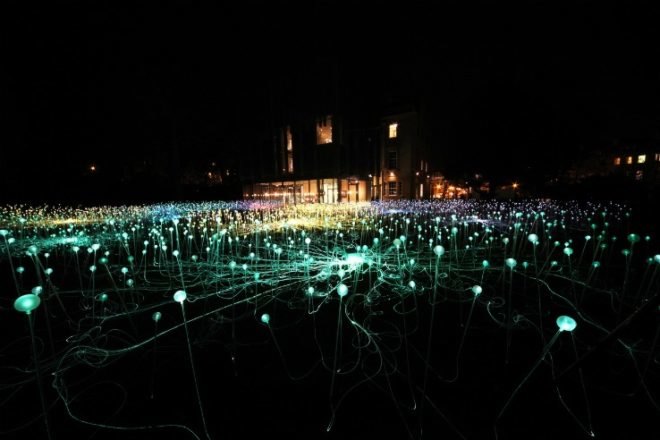 eco art, bath museum, bruce munro, field of light, forest of light, leds, light emitting diodes, energy efficient lighting, green art, sustainable design, green design, light garden, green sculpture, green art installation, fiber optic fields of light