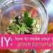 DIY Terrariums, terrariums, how to make a terrarium, diy, green gift, green diy,