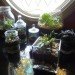 DIY Terrariums, terrariums, how to make a terrarium, diy, green gift, green diy,