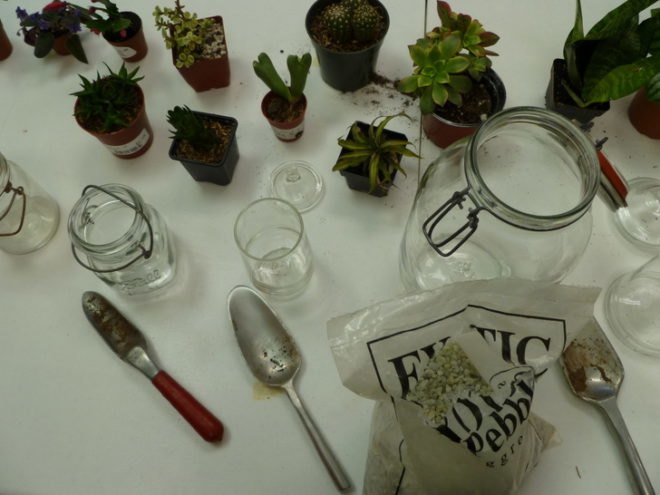 DIY Terrariums, terrariums, how to make a terrarium, diy, green gift, green diy,
