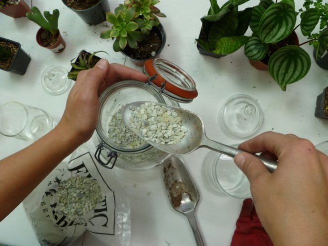 DIY Terrariums, terrariums, how to make a terrarium, diy, green gift, green diy,
