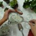 DIY Terrariums, terrariums, how to make a terrarium, diy, green gift, green diy,