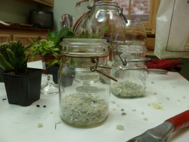 DIY Terrariums, terrariums, how to make a terrarium, diy, green gift, green diy,