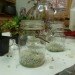 DIY Terrariums, terrariums, how to make a terrarium, diy, green gift, green diy,