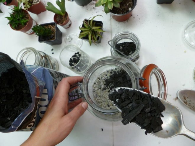 DIY Terrariums, terrariums, how to make a terrarium, diy, green gift, green diy,