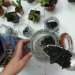 DIY Terrariums, terrariums, how to make a terrarium, diy, green gift, green diy,