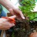 DIY Terrariums, terrariums, how to make a terrarium, diy, green gift, green diy,