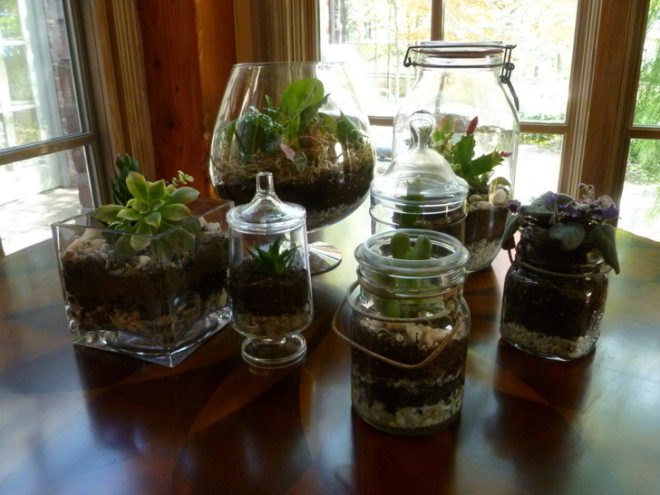DIY Terrariums, terrariums, how to make a terrarium, diy, green gift, green diy,