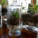 DIY Terrariums, terrariums, how to make a terrarium, diy, green gift, green diy,