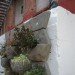 please touch community garden, San Francisco, City Hall, Lighthouse for the Blind, urban garden, community art, habitile