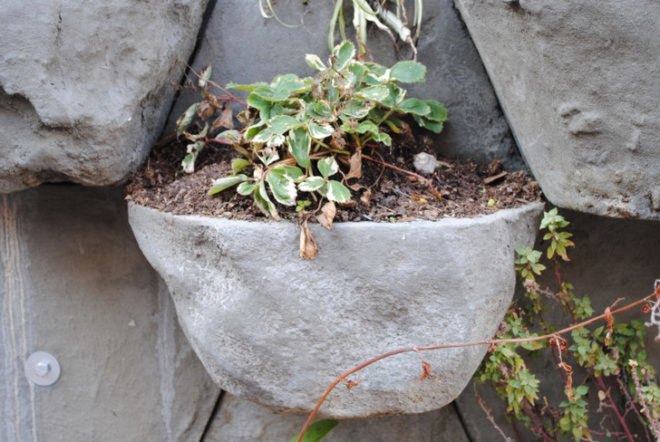 please touch community garden, San Francisco, City Hall, Lighthouse for the Blind, urban garden, community art, habitile