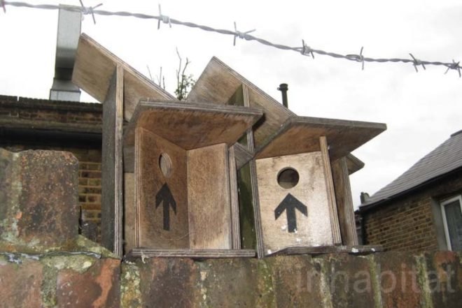 Sustainable Food,Recycled Materials,Green renovation,green Interiors,green furniture,Prefab Housing,wooden shed,vintage furniture,outdoor cinema,outdoor silent cinema,recycled pallets,parachute umbrella,recycled parachute