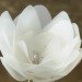 Eco Flowers, Lauren Karnitz, recycled materials, eco art, green art, flower arrangements, eco corsages
