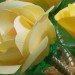 Eco Flowers, Lauren Karnitz, recycled materials, eco art, green art, flower arrangements, eco corsages