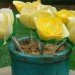 Eco Flowers, Lauren Karnitz, recycled materials, eco art, green art, flower arrangements, eco corsages