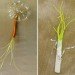 Eco Flowers, Lauren Karnitz, recycled materials, eco art, green art, flower arrangements, eco corsages