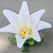 Eco Flowers, Lauren Karnitz, recycled materials, eco art, green art, flower arrangements, eco corsages